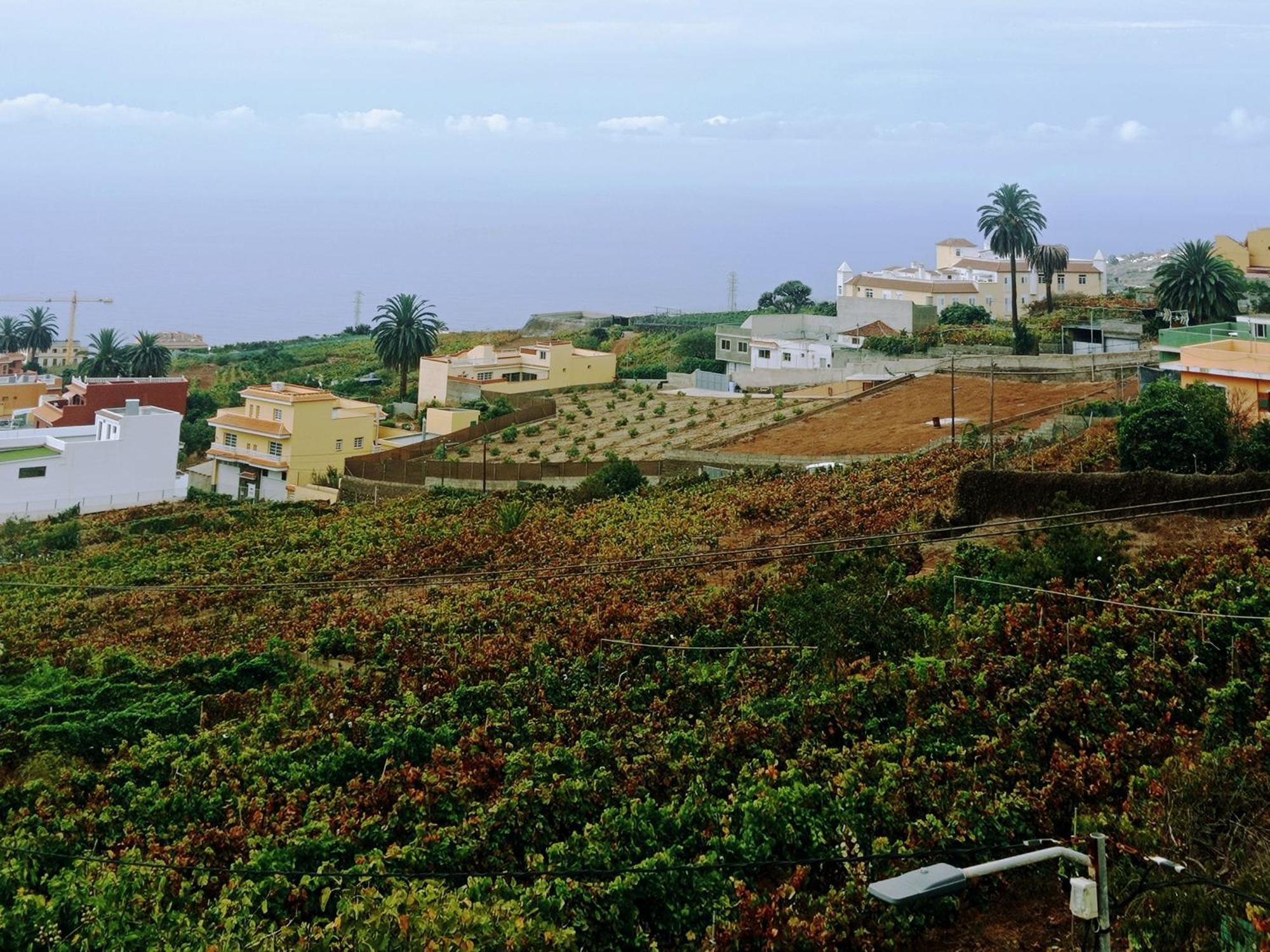 Live La Victoria Carril - Casa Acogedora Y Familiar Con Terraza Completa Villa La Victoria de Acentejo Buitenkant foto